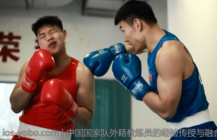 中国国家队外籍教练员的经验传授与融合